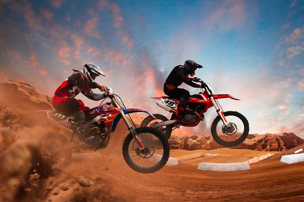 executive management